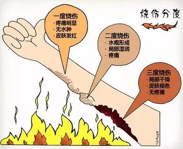 圖片1.png